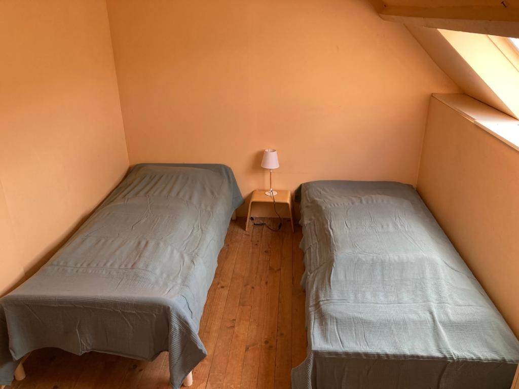 스포츠&체험활동