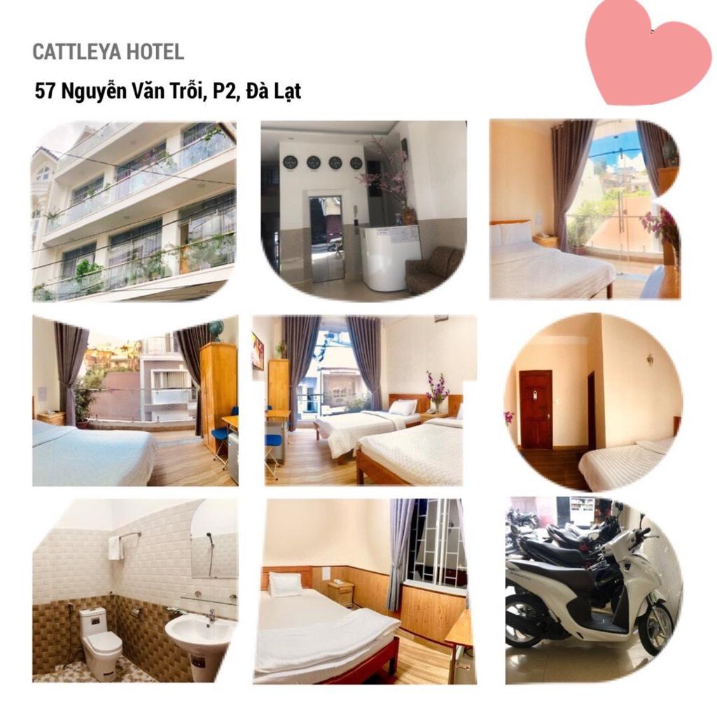CATTLEYA HOTEL