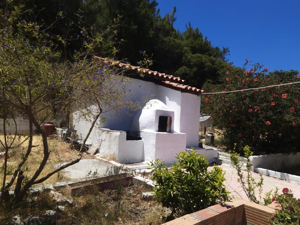 K Farm House photo 4