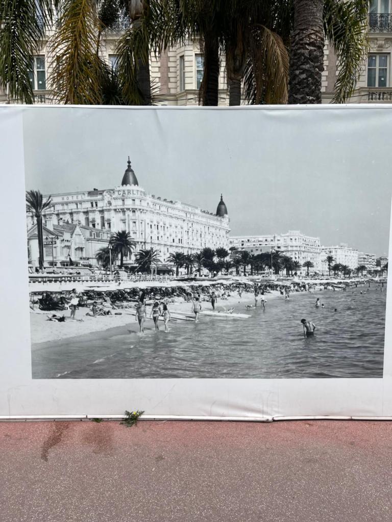 Cannes, Croisette, Palais Miramar - Tap to explore photos