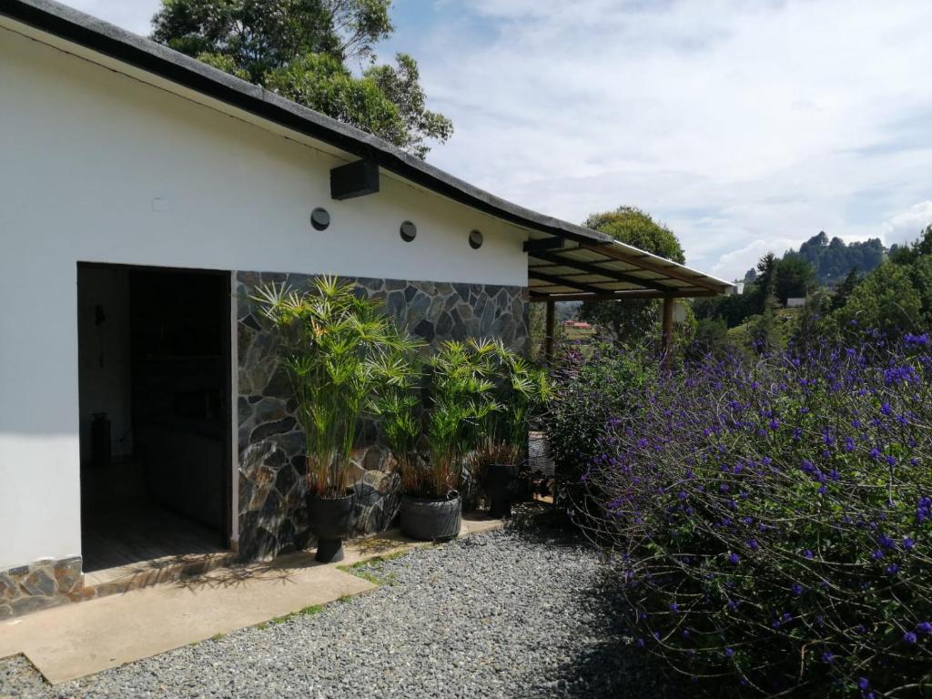 Finca 5 - Dakeva photo 1
