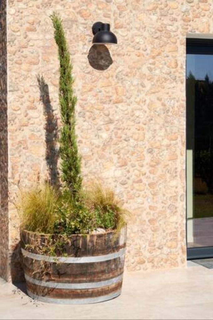 Trie Vineyard Cottage photo 2