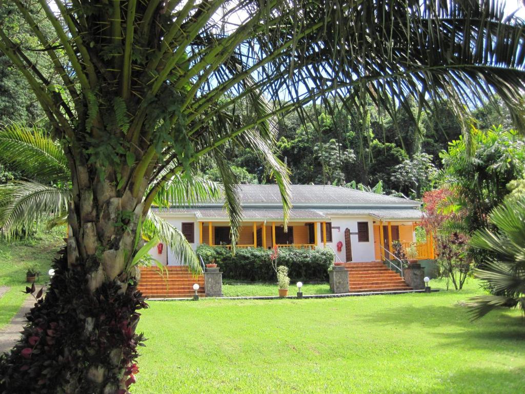 Les Cycas photo 2