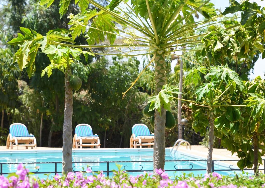ACK Resort Salama