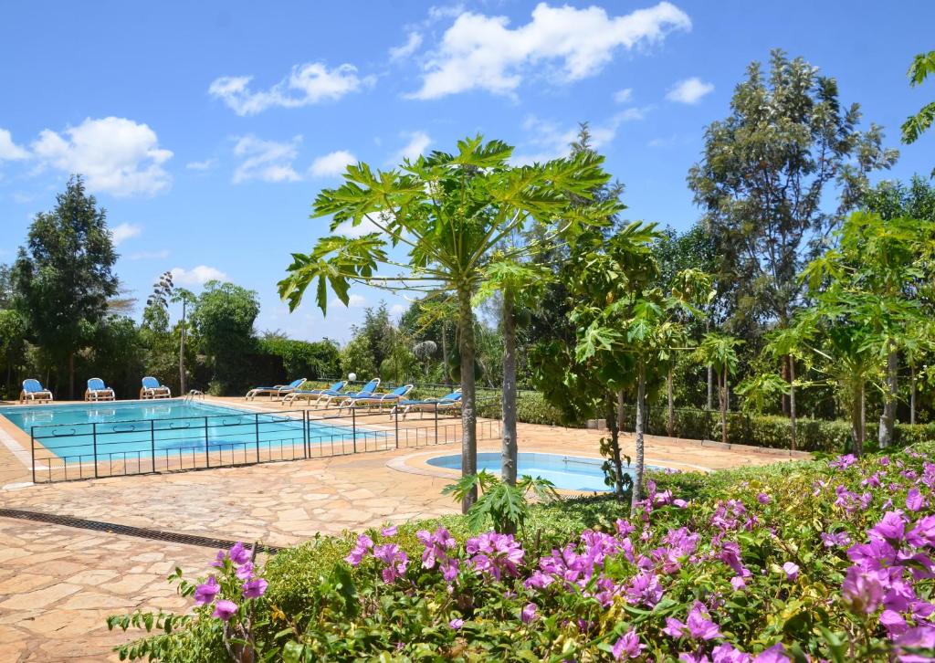 ACK Resort Salama photo 2