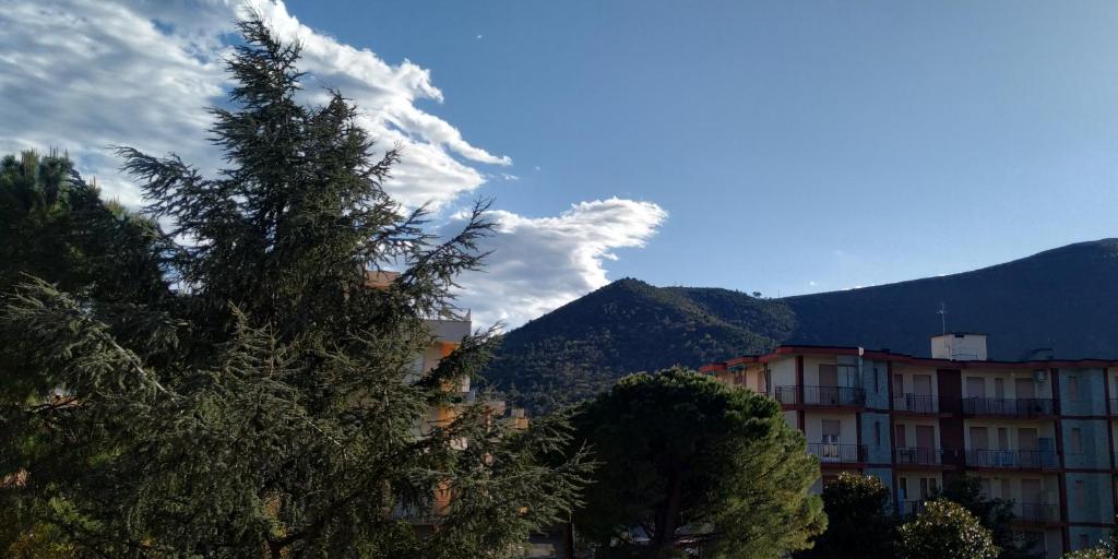 Al Pepe Rosa di Borghetto photo 4