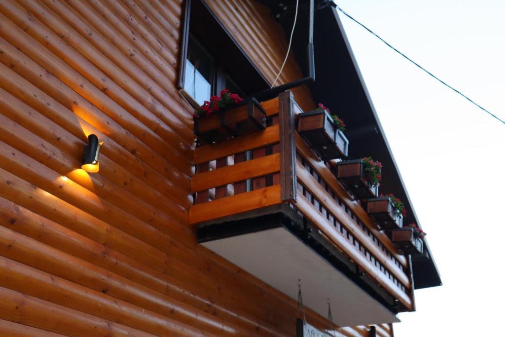 Villa Beti photo 2