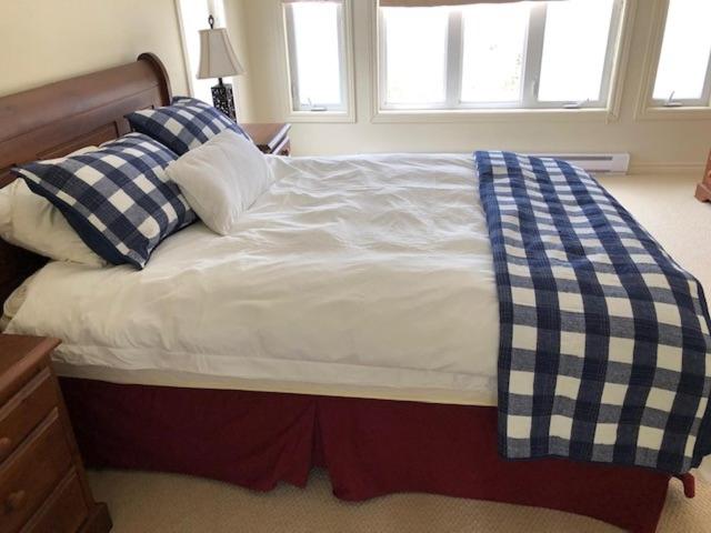 The Thoughtful Dog Bed & Breakfast photo 2