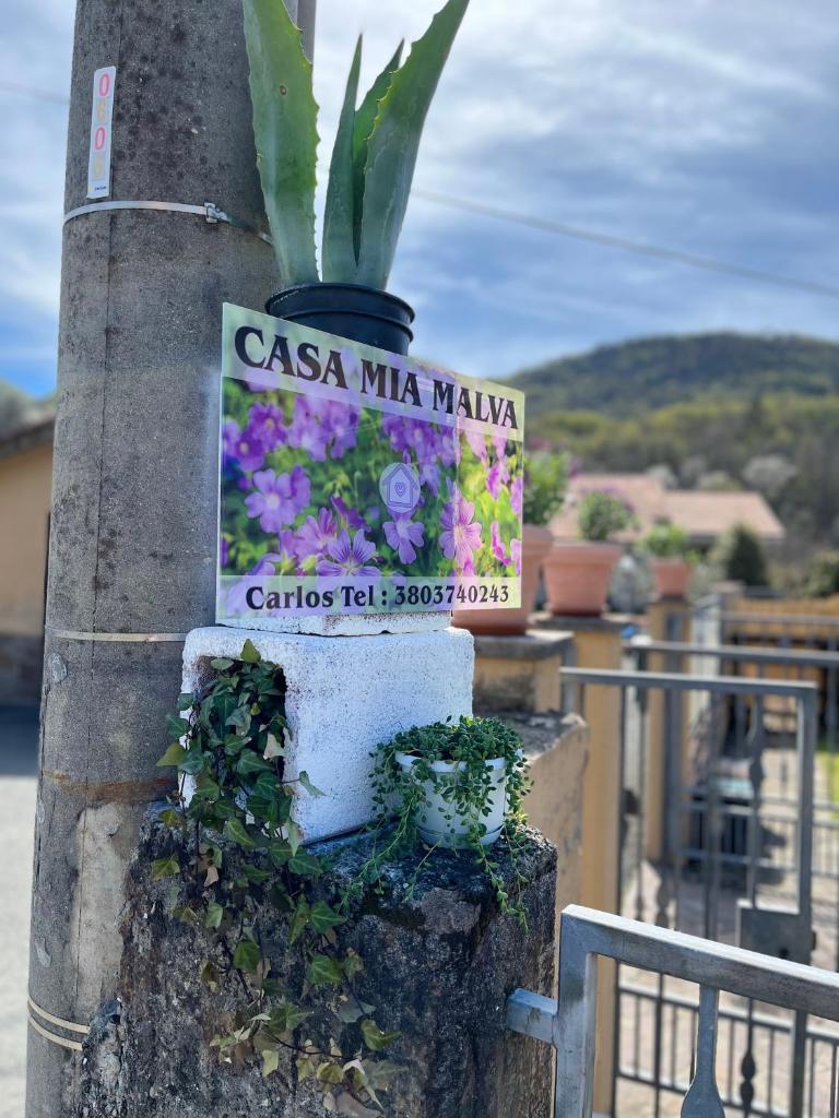 CASA MIA MALVA photo 1