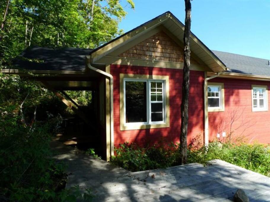 Gorgeous Peaceful Cottage on the Forest photo 3