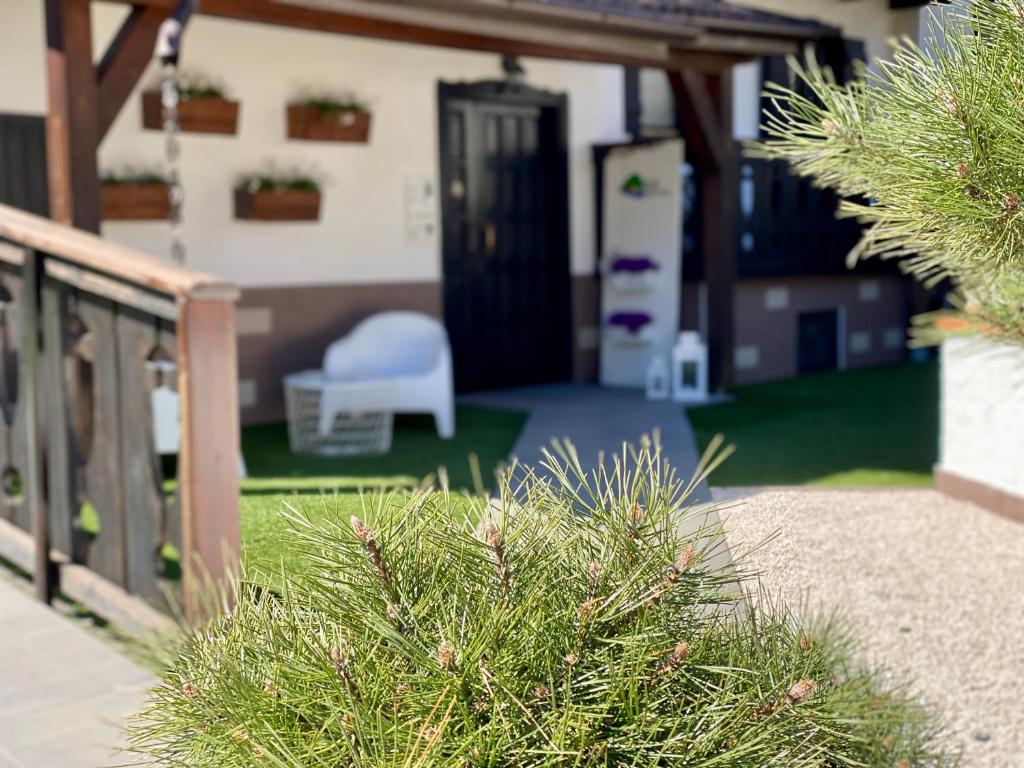 Enjoy Ledro B&B photo 4