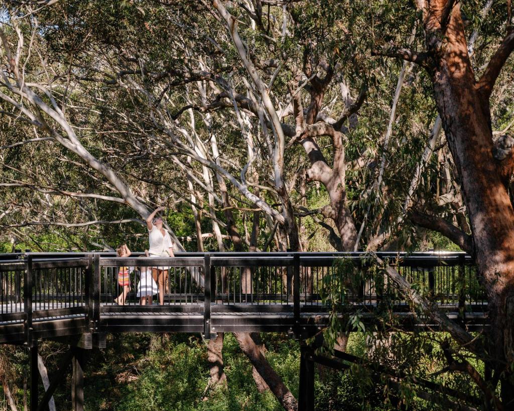 Port Stephens Koala Sanctuary photo 4