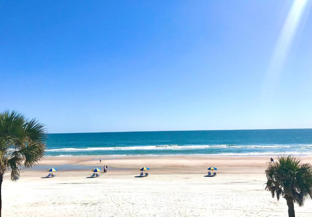 Organic Beach Retreat photo 3