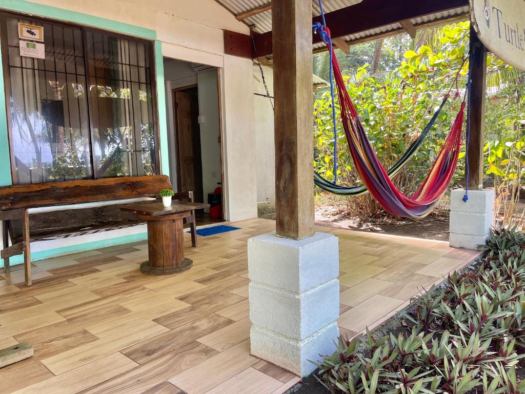 Casa turtle Bogue photo 2