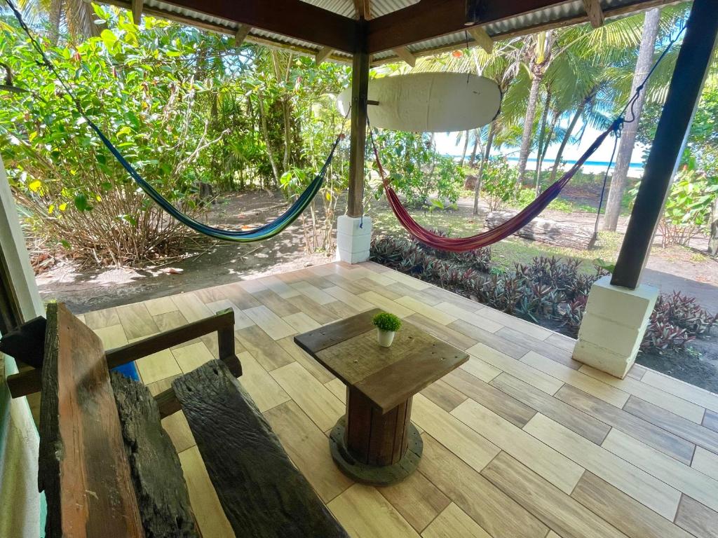 Casa turtle Bogue photo 1