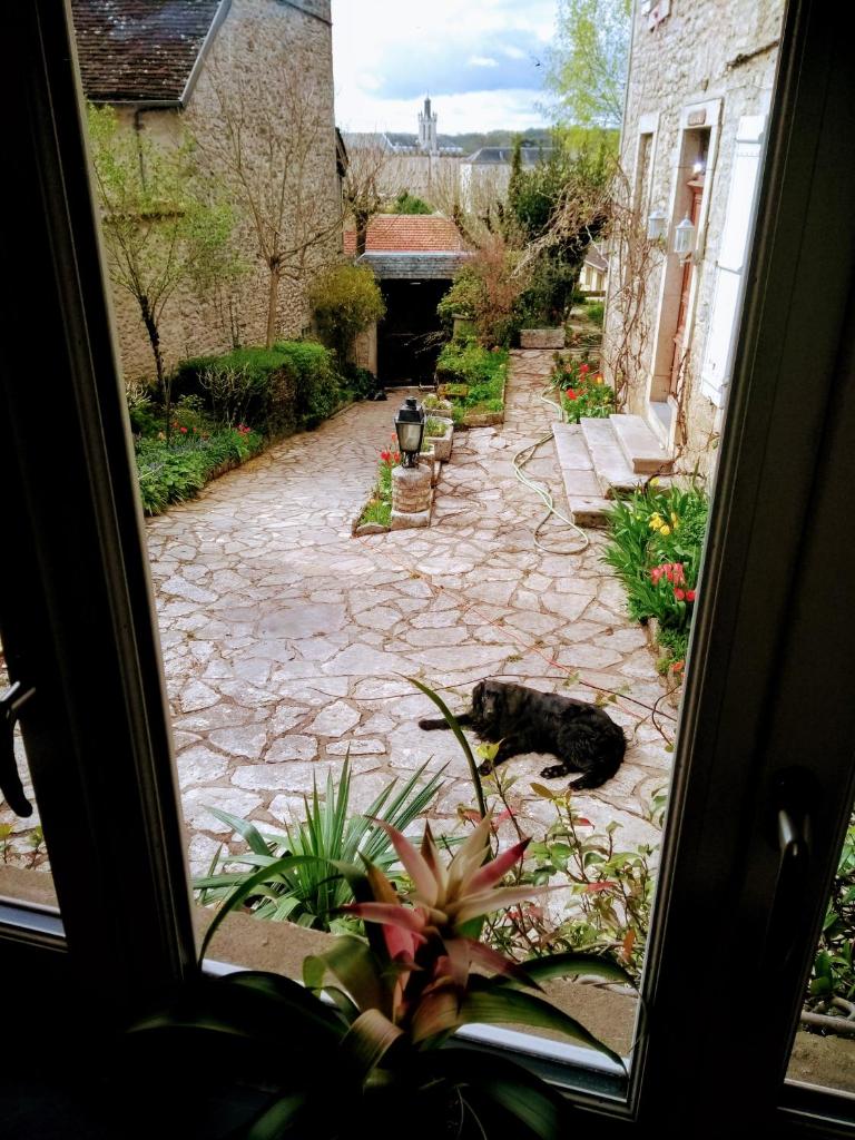 Maison Chopin photo 4