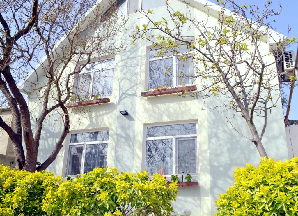 Garden Cottage near Beach, Airport photo 2