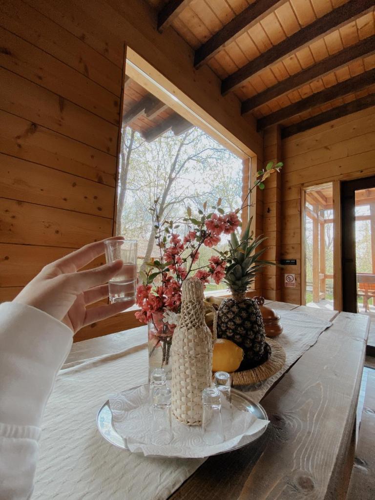 Cabana Bistra photo 2