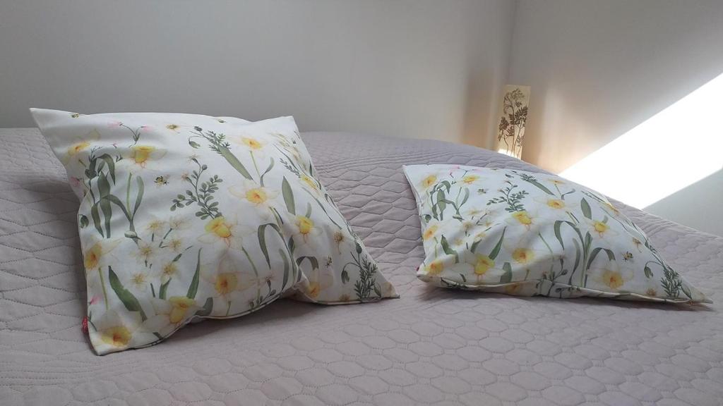 Apartament Zimorodek Krościenko nad Dunajcem photo 4
