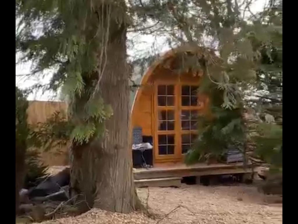 Pinkys Pod at Rock Lodge photo 3