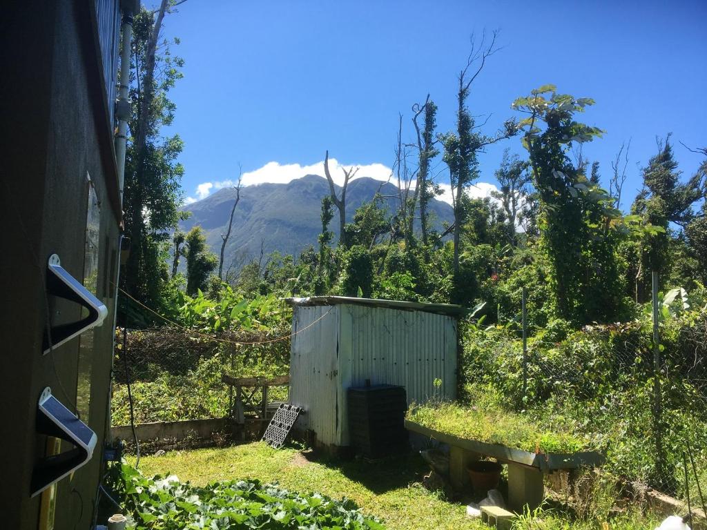 3 bedrooms house with sea view and furnished garden at Layou Valley Road photo 4