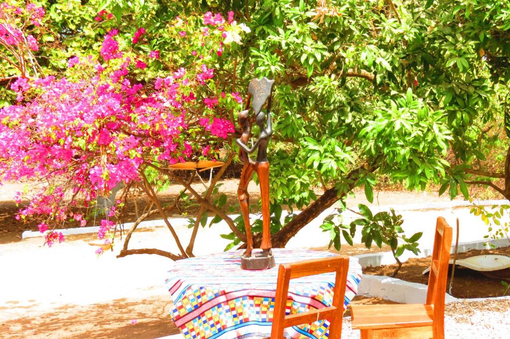 KASA HIBISCUS photo 2