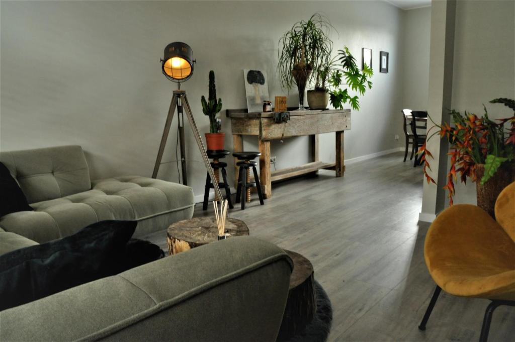 Huis nummer 7 met sauna en 3 slaapkamers photo 4