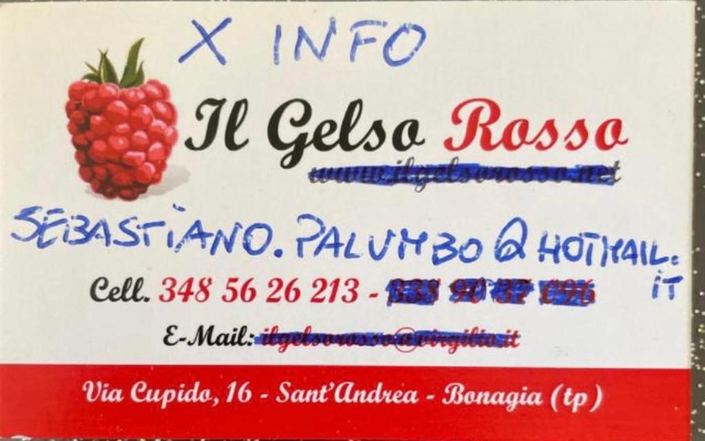 Casa Vacanze Il Gelso Rosso photo 1