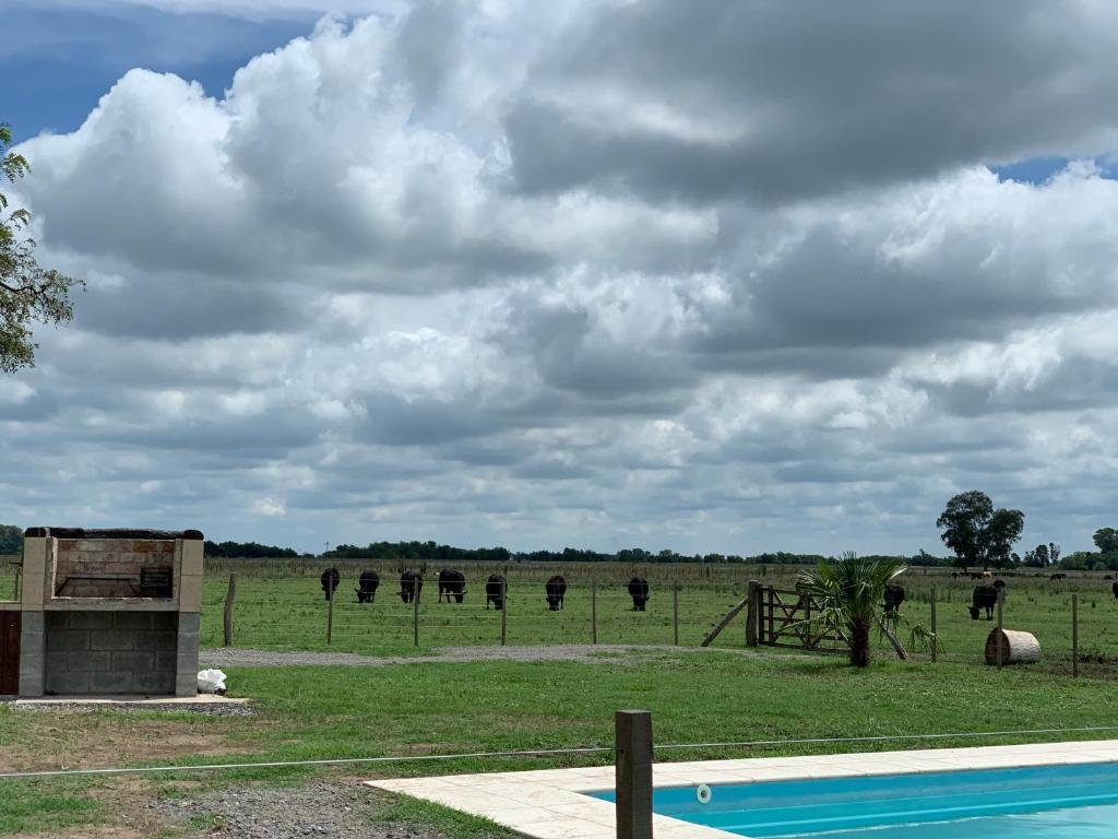 El 24, casa de campo! photo 2
