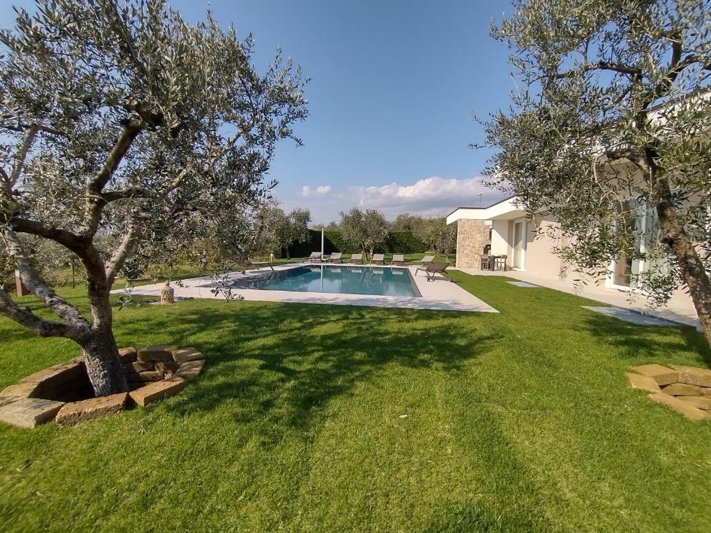 La Rondinella Apartments photo 4