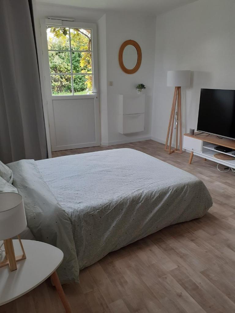 superbe grand studio tout confort avec exterieur photo 4