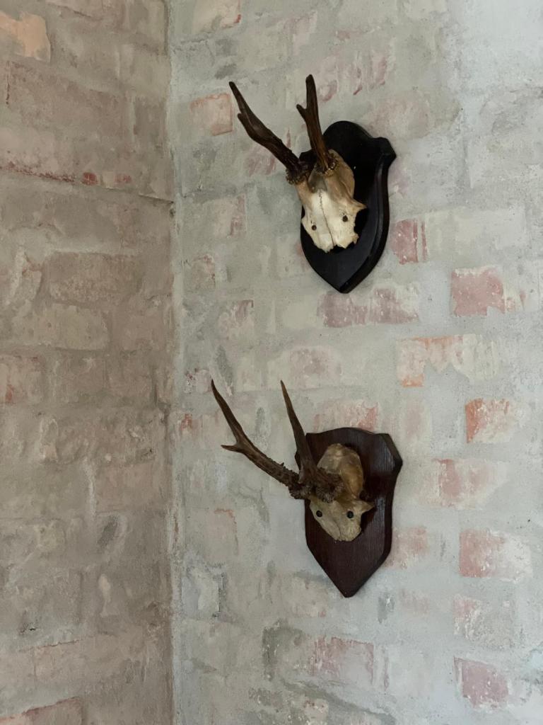Feriehus i skøn natur photo 4