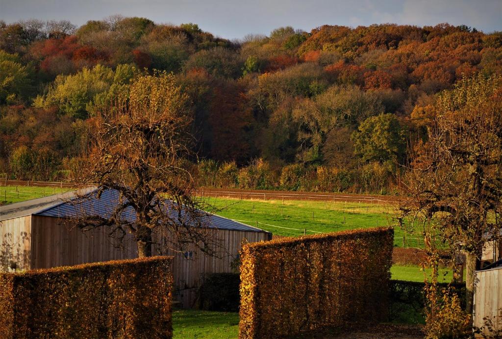 Landgoed Moerslag photo 3