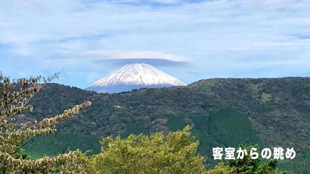 Trip7箱根仙石原温泉ホテル photo 4