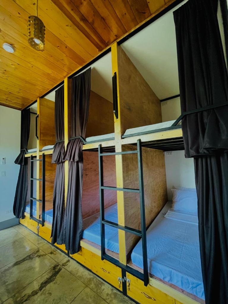 MOMO Hostel photo 2