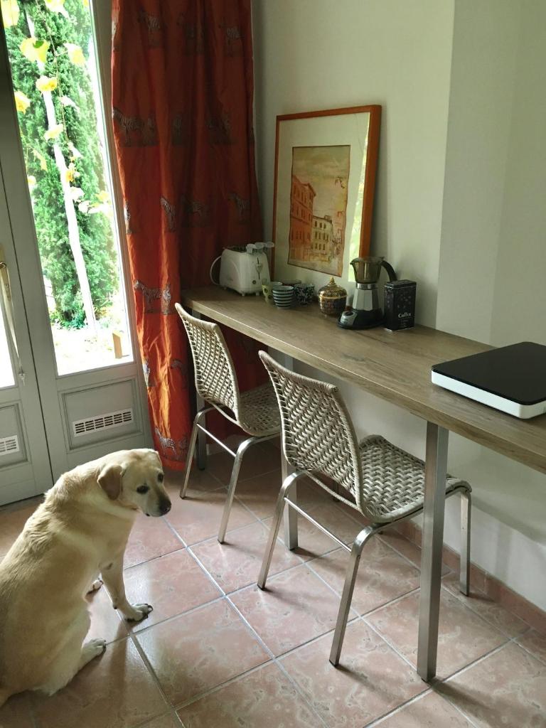 Villa Romana photo 2