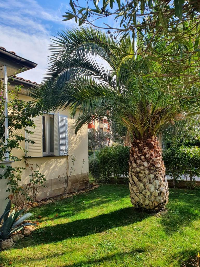 Casa Pineta photo 3