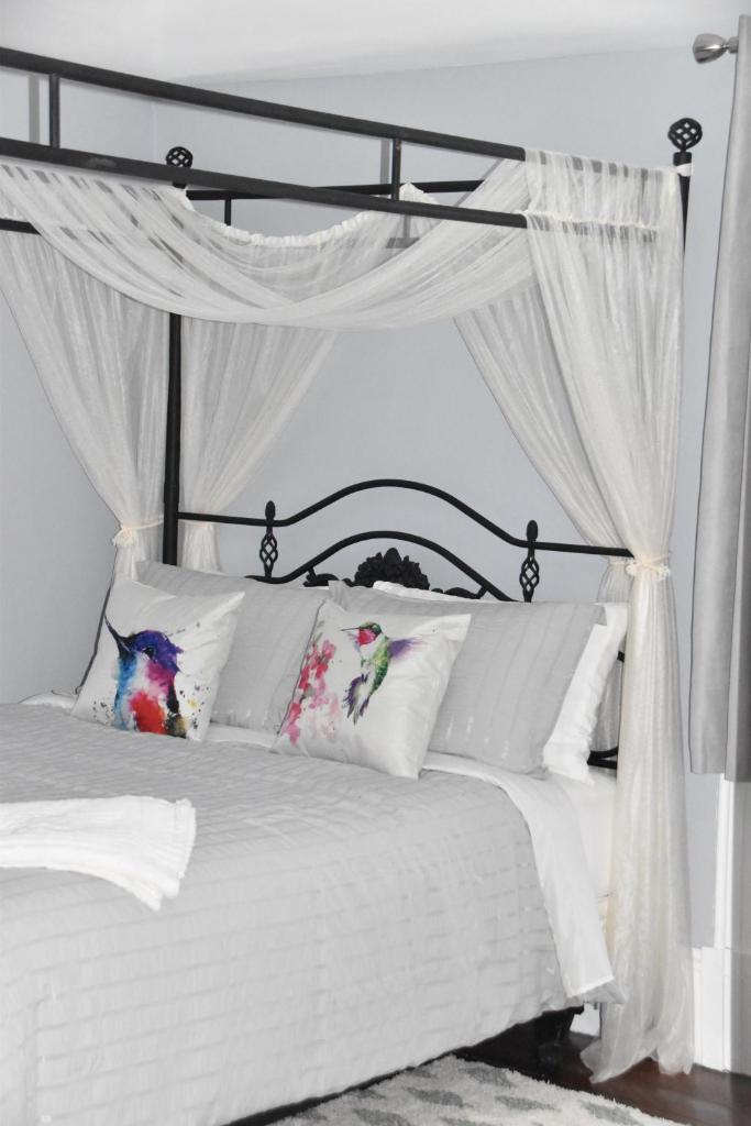 Seabank House Bed and Breakfast Hummingbird photo 2