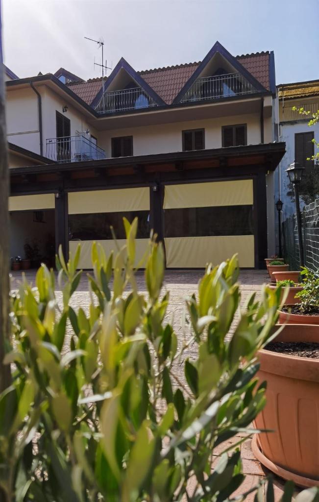 Hotel Edelweiss photo 3