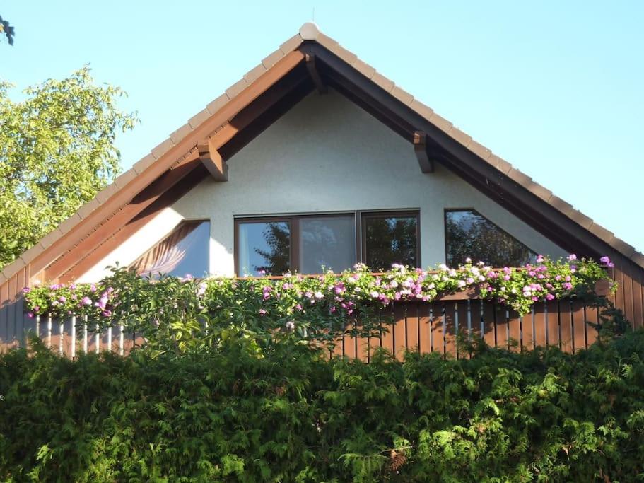 Ferienwohnung am Stadtrand von Berlin photo 4