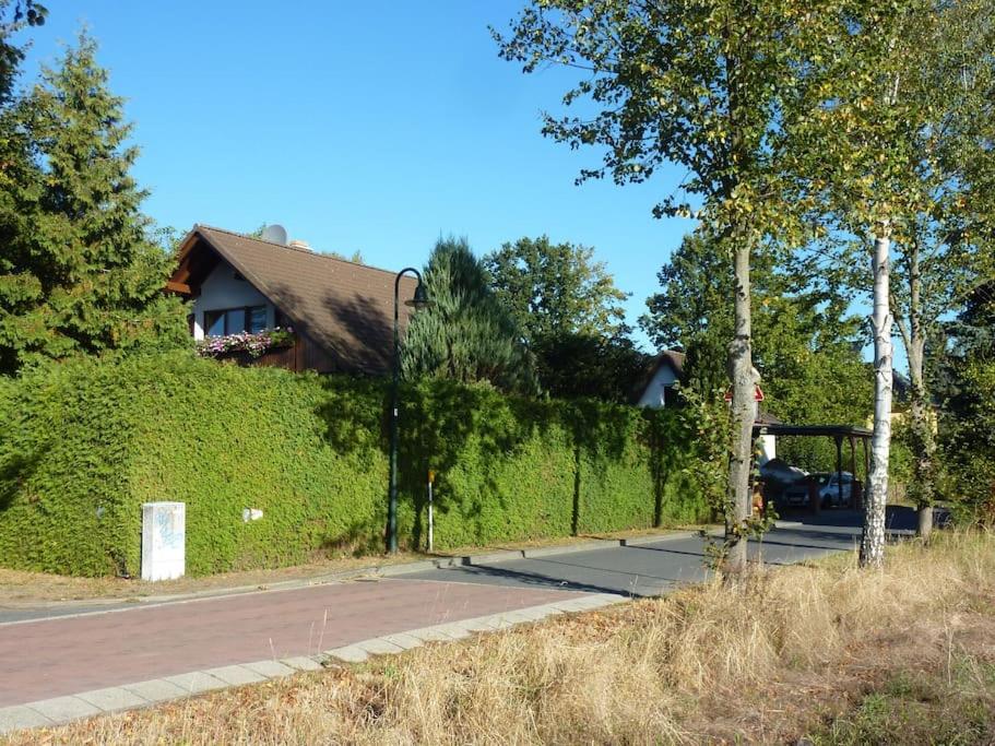 Ferienwohnung am Stadtrand von Berlin photo 3