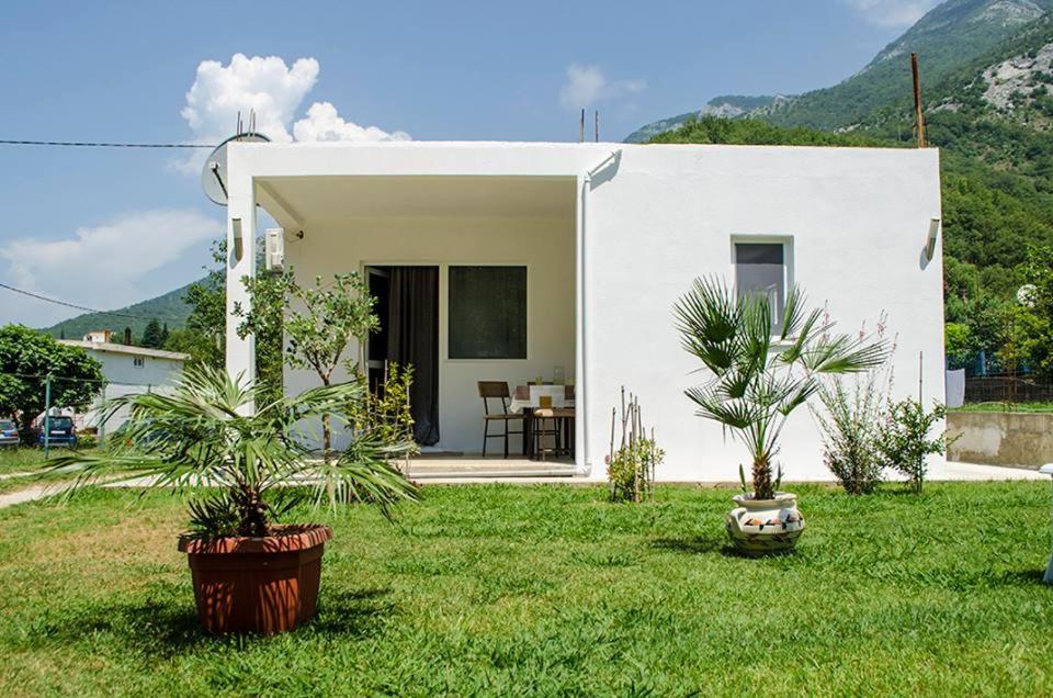 Holiday Home Oaza photo 1