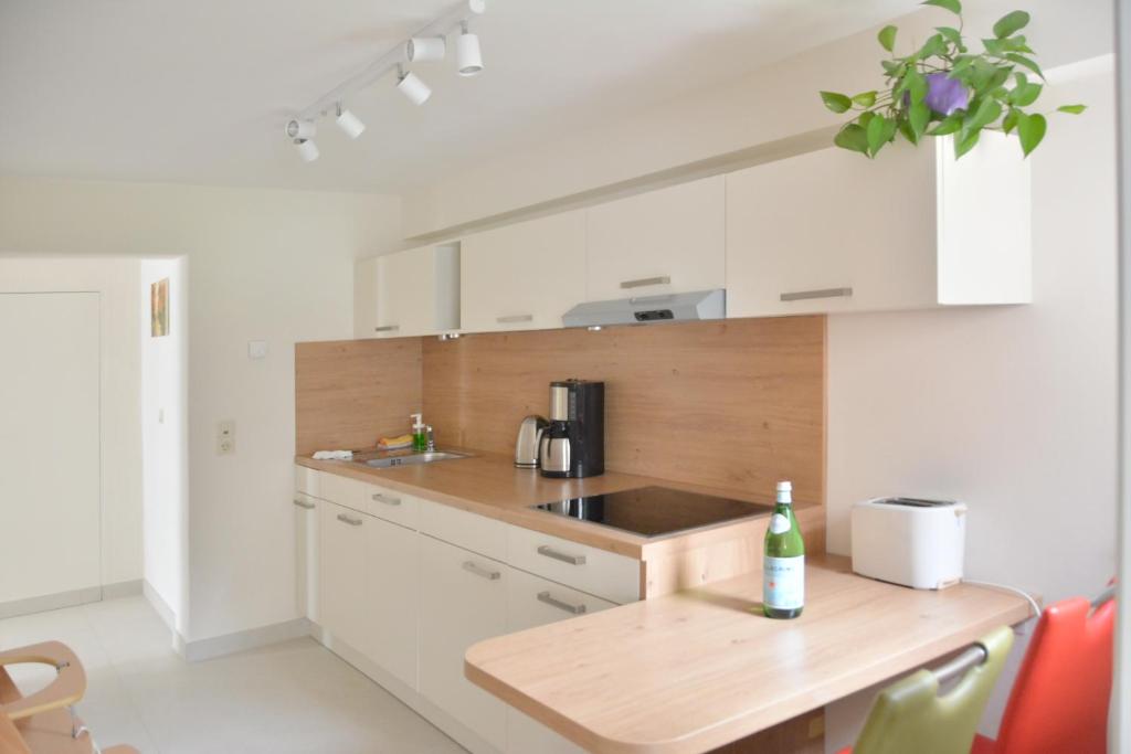 Ferienwohnung Gohrisch photo 3