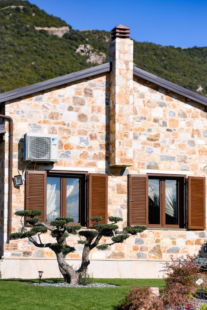 Pinelia Home photo 1