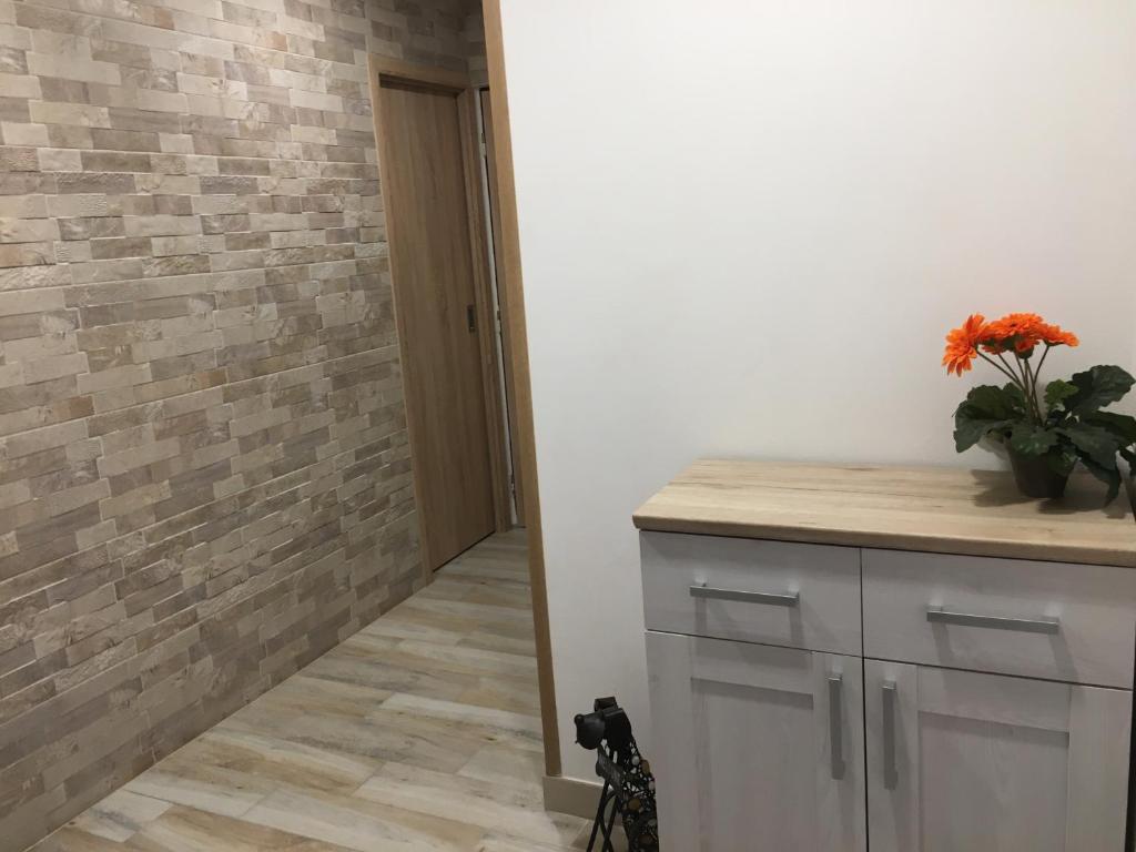 Ubytování Puškinova photo 1
