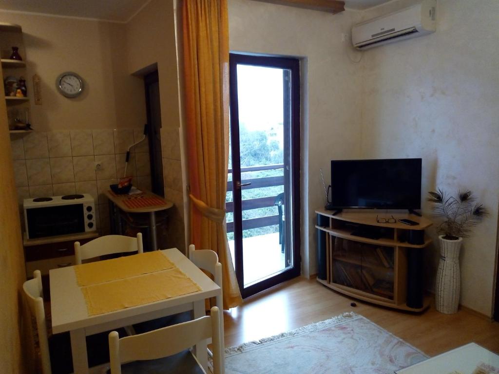 biljana photo 2