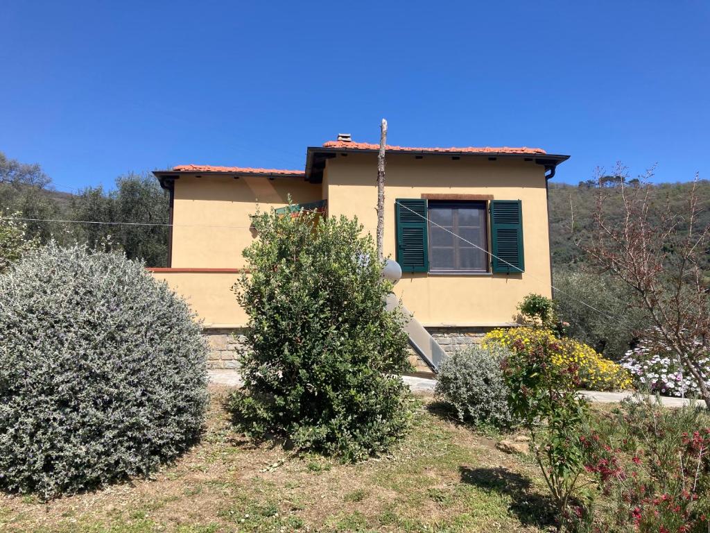 Villa Bella photo 3
