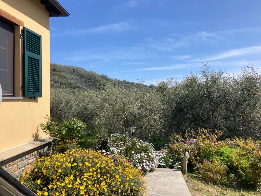 Villa Bella photo 2