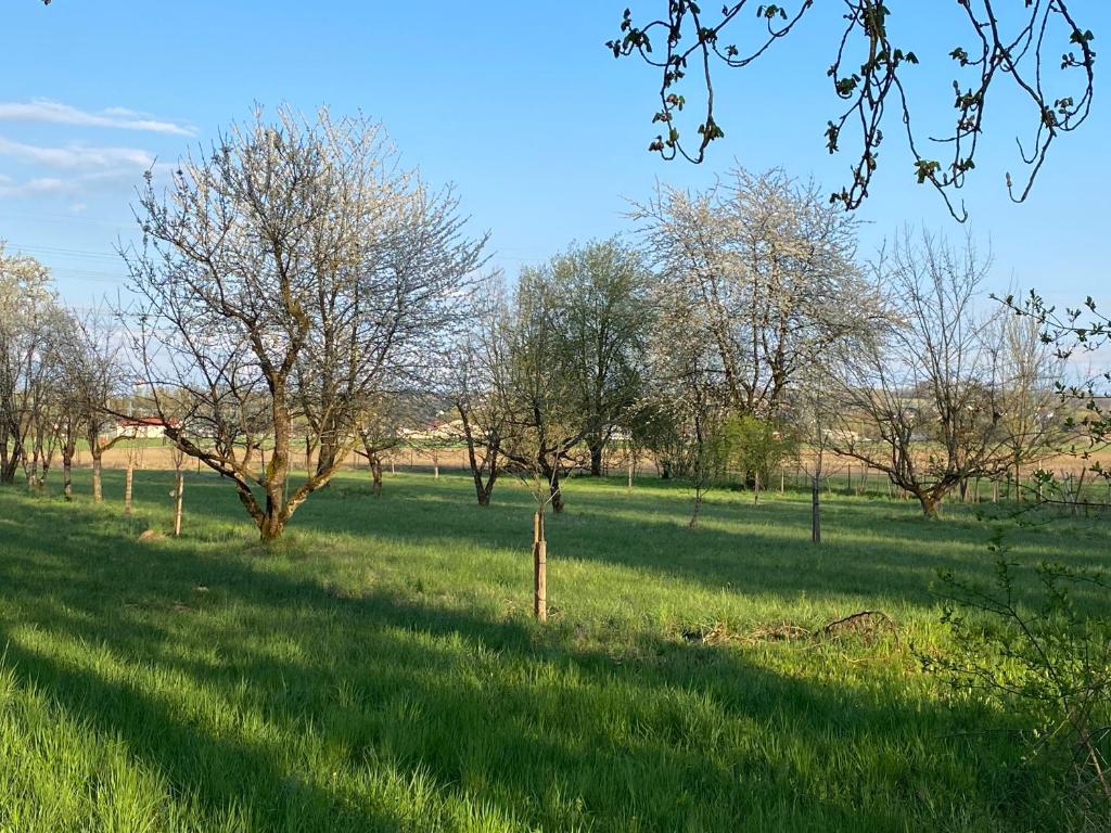 Villa Quintana photo 3