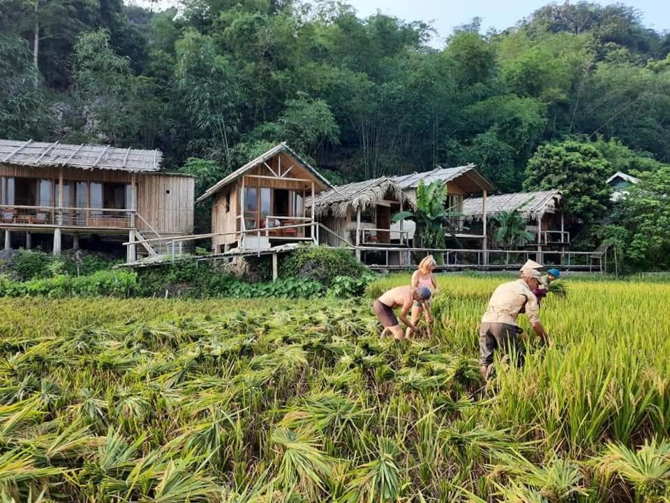 Little Mai Chau Homestay